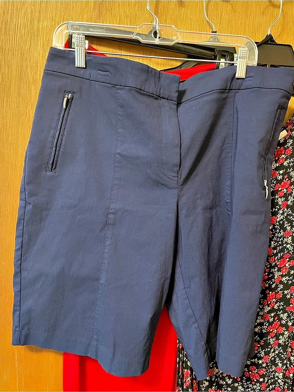 IZOD Golf Performance Skort. Blue Size 18